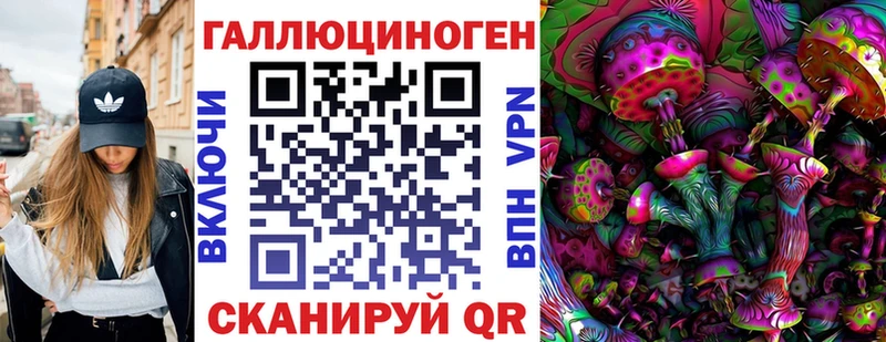 Купить  Няндома  Галлюциногенные грибы Psilocybine cubensis 